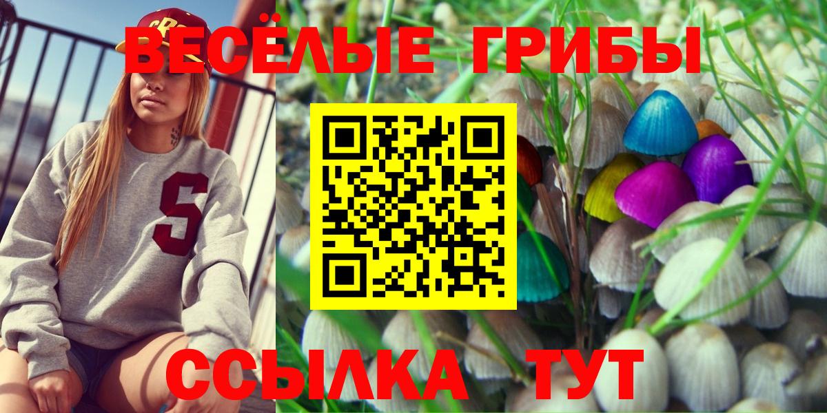 Галлюциногенные грибы Psilocybe  Галлюциногенные грибы Magic Shrooms  закладка  Обь  Вход с VPN 